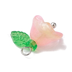 Mixed Color Glass Pearl & Acrylic Charms&nbsp;PALLOY-JF02567-01