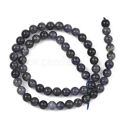 Natural Iolite Beads Strands&nbsp;G-Z148-A01-6mm