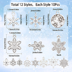 120Pcs 12 Style Tibetan Style Alloy Pendants&nbsp;TIBE-SC0001-84