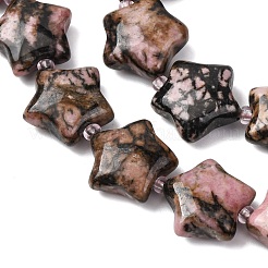 Natural Rhodonite Beads Strands&nbsp;G-K359-E08