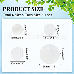 40Pcs 4 Styles Natural Freshwater Shell Cabochons&nbsp;SHEL-WR0001-11