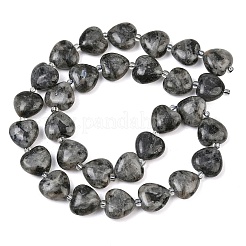 Natural Labradorite Beads Strands&nbsp;G-B022-32C-A
