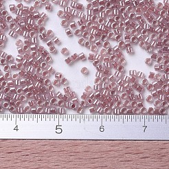 MIYUKI Delica Beads&nbsp;SEED-JP0008-DB0256
