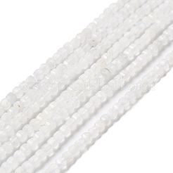 Natural Rainbow Moonstone Beads Strands&nbsp;LS-G-I353-04