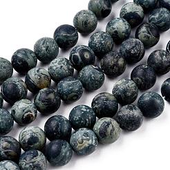 Frosted Natural Kambaba Jasper Beads Strands&nbsp;G-M272-14-6mm