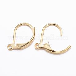 304 Stainless Steel Leverback Earring Findings&nbsp;STAS-P166-12G