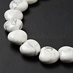 Natural Howlite Beads Strands&nbsp;G-B022-09C