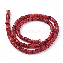 Shell Beads Strands&nbsp;LS-SSHEL-E571-49H
