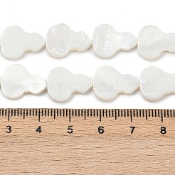 Natural Freshwater Shell Beads Strands&nbsp;SHEL-K010-02C
