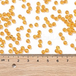 6/0 Glass Seed Beads&nbsp;SEED-T006-04C-04