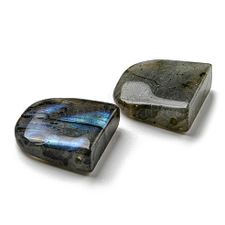 Natural Labradorite Pendants&nbsp;G-M405-10-01