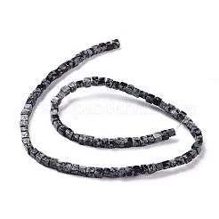 Natural Snowflake Obsidian Beads Strands&nbsp;G-F631-K16