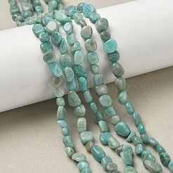 Natural Amazonite Beads Strands&nbsp;G-F521-25