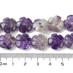 Natural Amethyst Beads Strands&nbsp;G-H023-B08-01