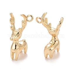 Rack Plating Brass Pendants&nbsp;KK-E267-01LG