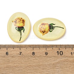 Transparent Resin Cabochons&nbsp;LS-RESI-K033-11B