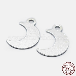 925 Sterling Silver Charms&nbsp;STER-I014-19S