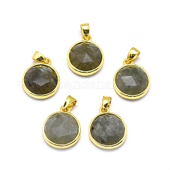 Natural Mixed Stone Pendants&nbsp;G-O176I-G