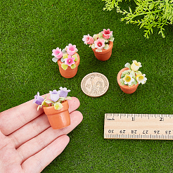  4Pcs 4 Colors Resin Display Decorations&nbsp;DJEW-WR0001-08