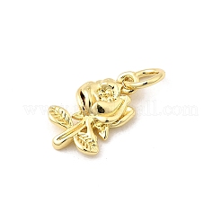 Brass Pendants&nbsp;KK-I364-44G
