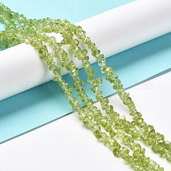 Natural Peridot Beads Strands&nbsp;G-E607-A06