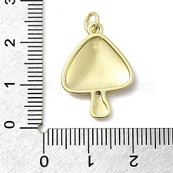 Brass Enamel Pendants&nbsp;KK-P338-12G-01