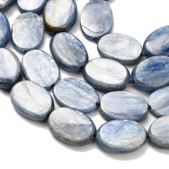 Natural Kyanite Beads Strands&nbsp;G-H335-D01-13x18mm