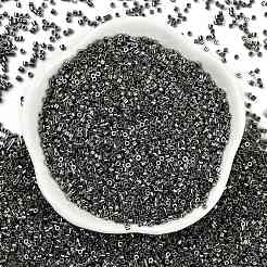 Electroplate Glass Seed Beads&nbsp;SEED-H003-10D