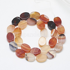Natural Red Agate Beads Strands&nbsp;G-T122-04F