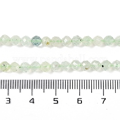 Natural Prehnite Beads Strands&nbsp;LS-G-G139-A05-03