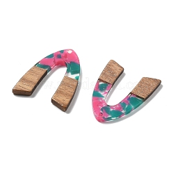 Resin and Walnut Pendants&nbsp;FIND-R051-11E