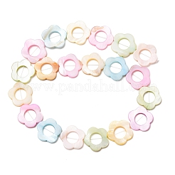 Dyed Natural Freshwater Shell Beads Strands&nbsp;SH-CBA2978-02