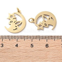 Ion Plating(IP) 304 Stainless Steel Pendants&nbsp;STAS-Q333-13G
