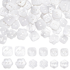 60Pcs 6 Styles 2-Hole Natural Shell Buttons&nbsp;BUTT-PH0001-48