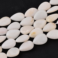 Natural White Shell Beads Strands&nbsp;X-PBB263Y-1