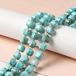 Natural Howlite Beads Strands&nbsp;G-C025-14