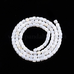 Natural Freshwater Shell Beads Strands&nbsp;SHEL-N003-33-B01
