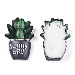 Opaque Resin Decoden Cabochons&nbsp;AJEW-N001-01