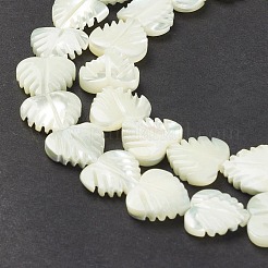 Natural Trochid Shell/Trochus Shell Beads&nbsp;SSHEL-K027-16