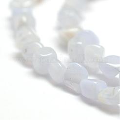 Natural Blue Lace Agate Beads Strands&nbsp;G-F465-03