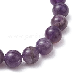 Natural Amethyst Beaded Stretch Bracelets for Women Men&nbsp;BJEW-JB11099