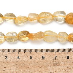 Natural Citrine(Heated) Beads Strands&nbsp;G-G337-B02-8x10mm