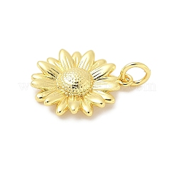 Brass Pendants&nbsp;KK-I276-73G