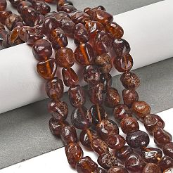 Natural Garnet Beads Strands&nbsp;G-P497-01E-70