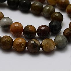 Natural Petrified Wood Bead Strands&nbsp;G-G687-27-8mm