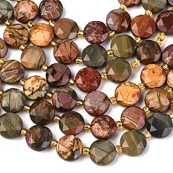 Natural Picasso Jasper/Polychrome Jasper Beads Strands&nbsp;G-C116-A118-01