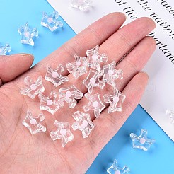Transparent Acrylic Beads&nbsp;LS-MACR-S373-105-B07