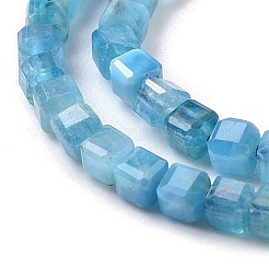 Natural Apatite Beads Strands&nbsp;G-P457-B01-14A