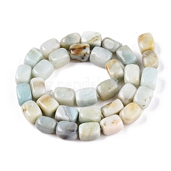 Natural Flower Amazonite Beads Strands&nbsp;G-T138-89