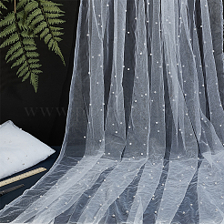 2Pcs Nylon Lace Fabric&nbsp;DIY-PH0029-43B